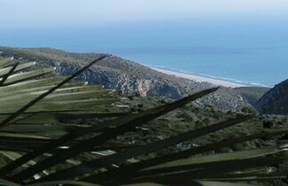 que-fer-al-garraf_descobrir-la-natura